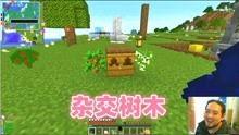 我的世界的树视频,从种植到成长的奇幻之旅
